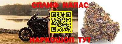 молекула духа Конаково