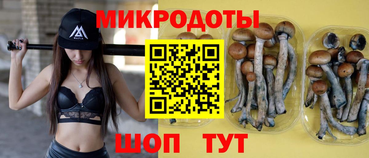 Раменское  купить наркотики цена  Вход с VPN  Галлюциногенные грибы MAGIC MUSHROOMS 